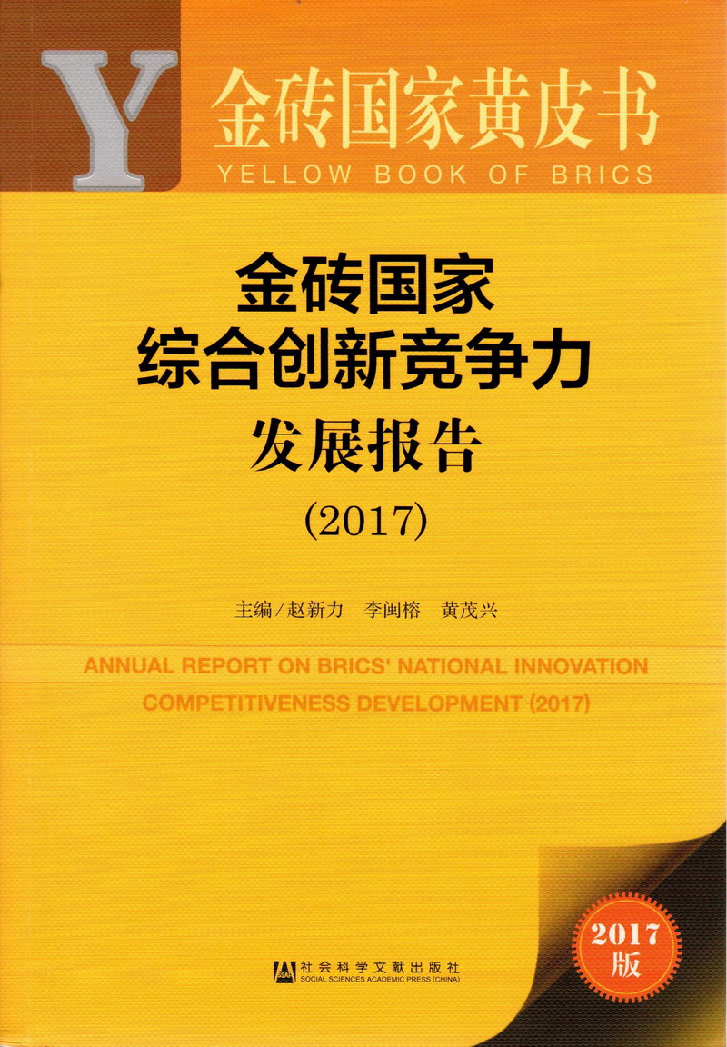 被男人添B视频金砖国家综合创新竞争力发展报告（2017）